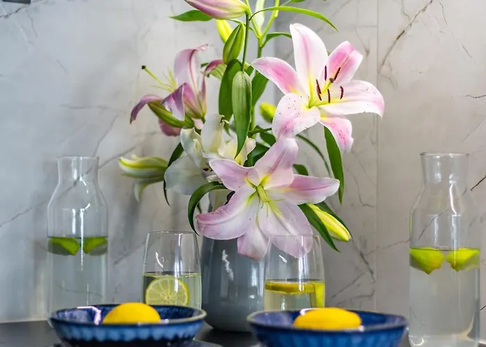 We Wroclawiu - Jaworska *