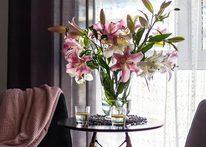 We Wroclawiu - Jaworska * Вроцлав